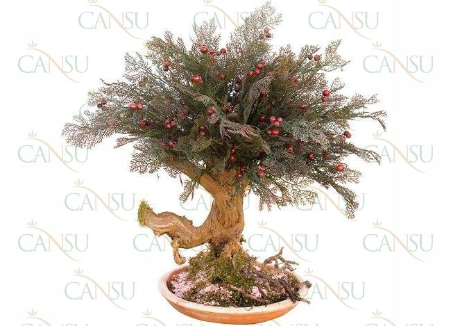 Yapay Bonsai, Model No: CT-02-155